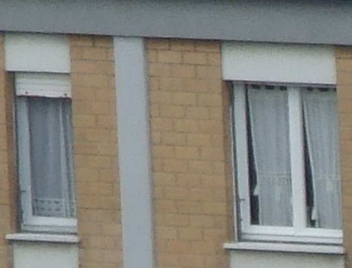 Crop_8.jpg