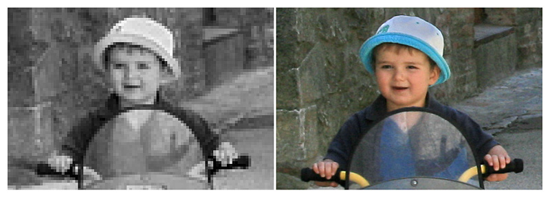 crop.jpg