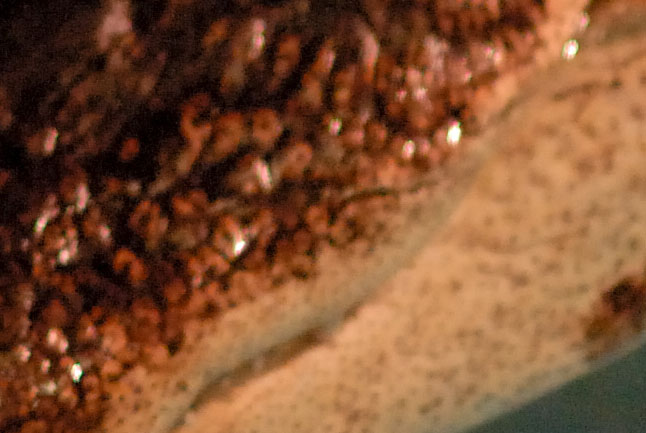 crop.jpg