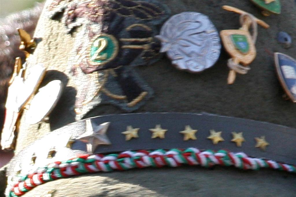 crop (Large).jpg