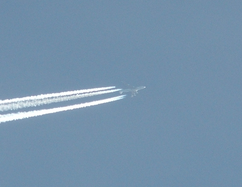 Crop_aereo.jpg