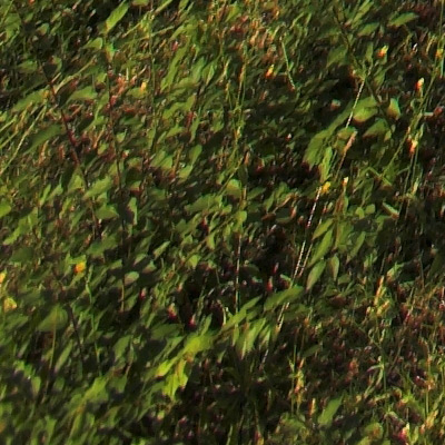 crop_basso-sx_14f4.jpg