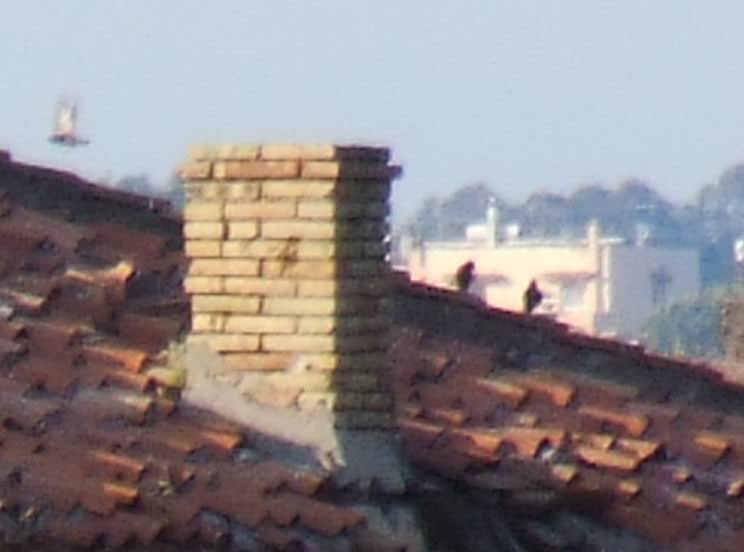 Crop Casa 600MM-2.jpg