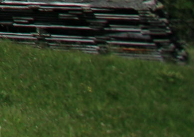 crop da scatto.jpg