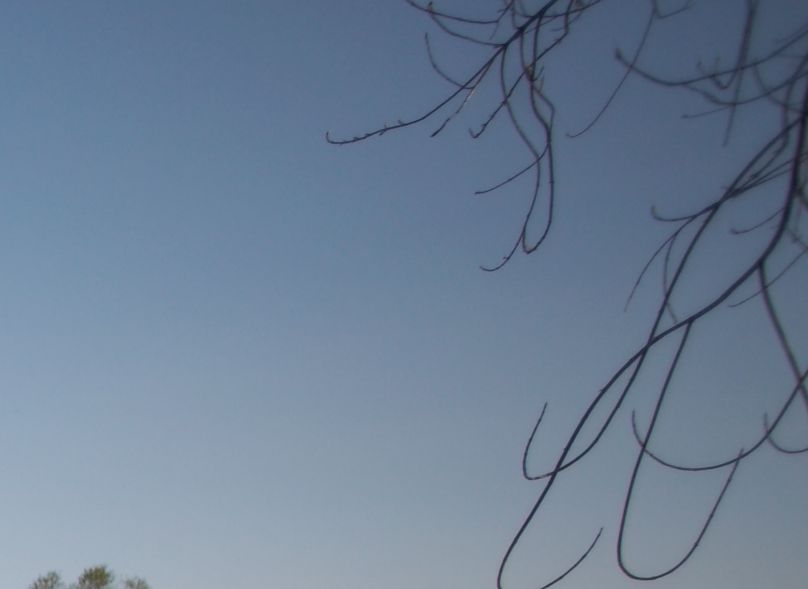 crop dx alto.jpg