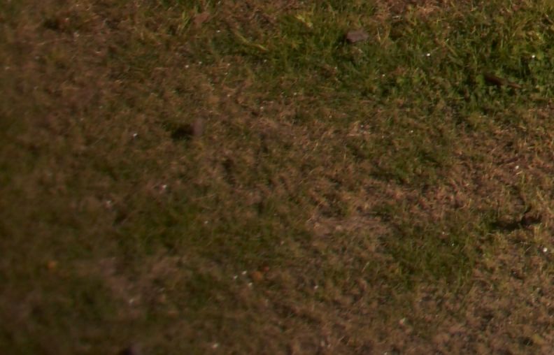 crop dx basso.jpg