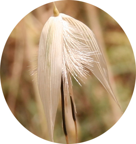 crop f-8 1-320 50mmb.jpg