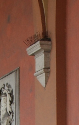 crop fuocojpg.jpg