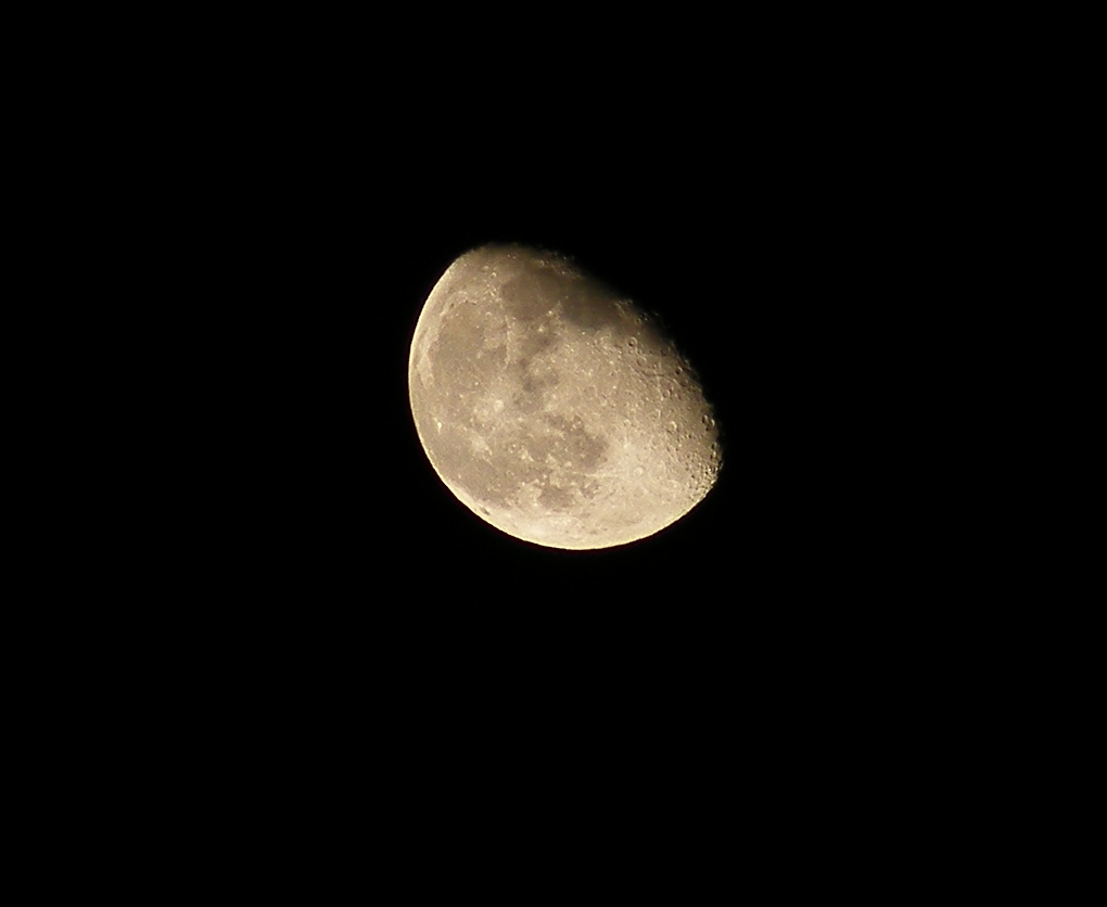 crop luna2.JPG