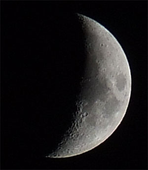 crop luna 2.jpg