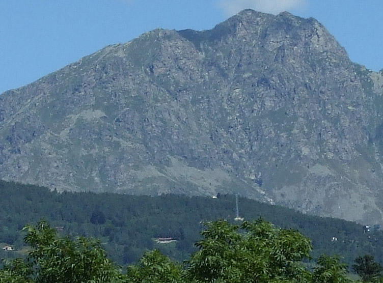 Crop mucrone.jpg