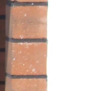 crop normal.jpg