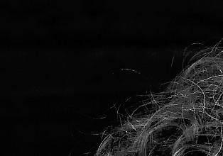 cropped_875.jpg