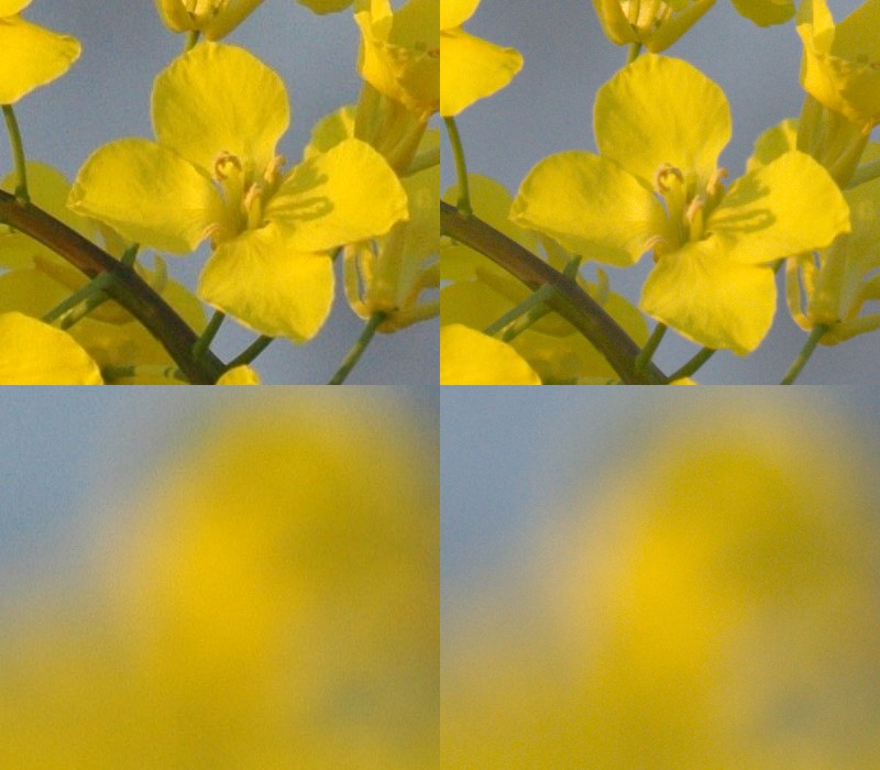 crops.jpg
