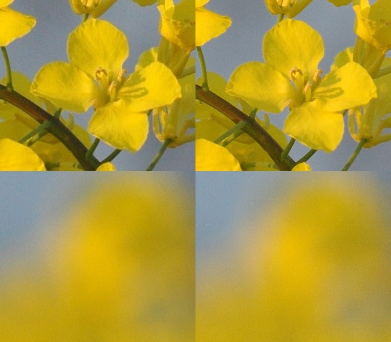 crops_jpgl-vs-nx.jpg