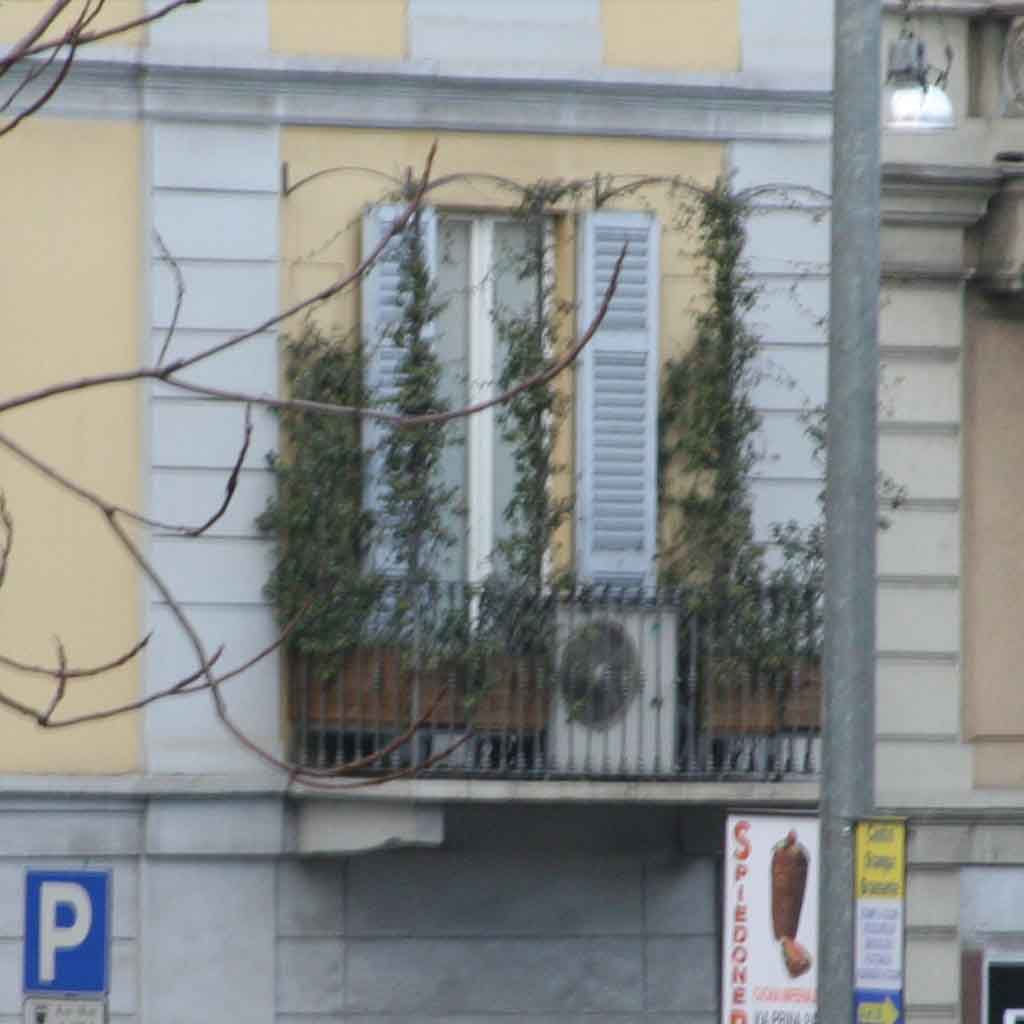 cropSI_IS.jpg