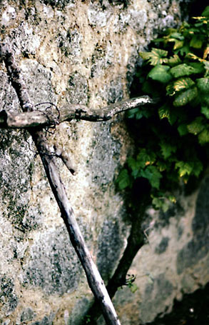 cross 7-.jpg
