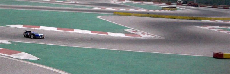crp1.jpg
