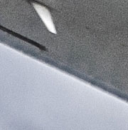 CRV_0912 C crop.jpg