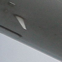 CRV_0912 crop.jpg
