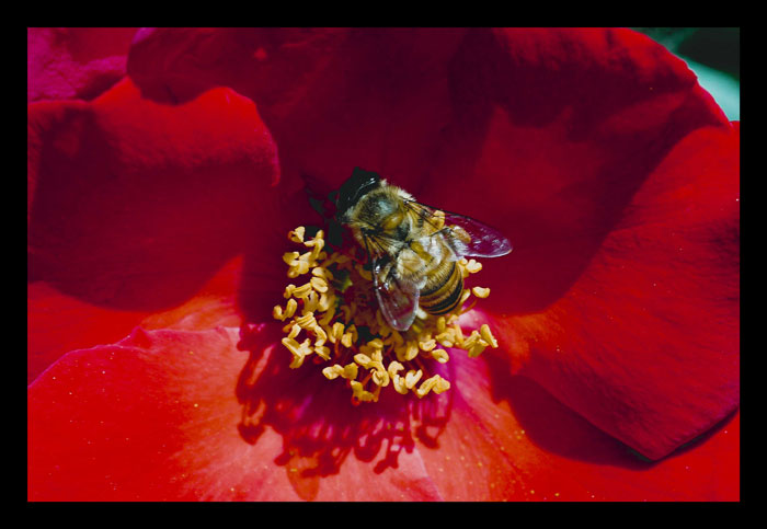 CRW_0002-01.jpg