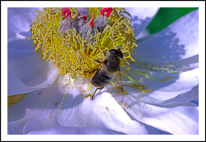 CRW_0003-02.jpg