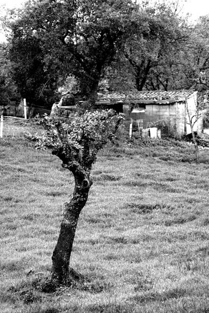 CRW_0025.jpg