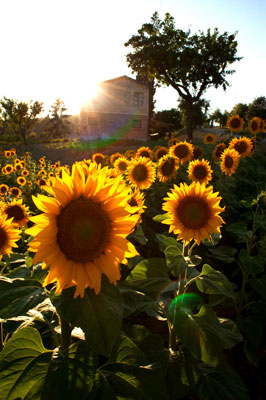 CRW_0030.jpg