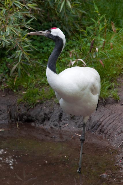 CRW_0062.jpg