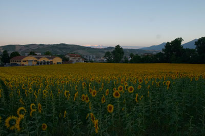 CRW_0065.jpg