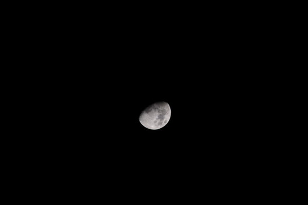 CRW_0081.jpg