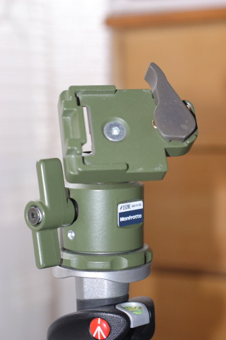 CRW_0307.JPG