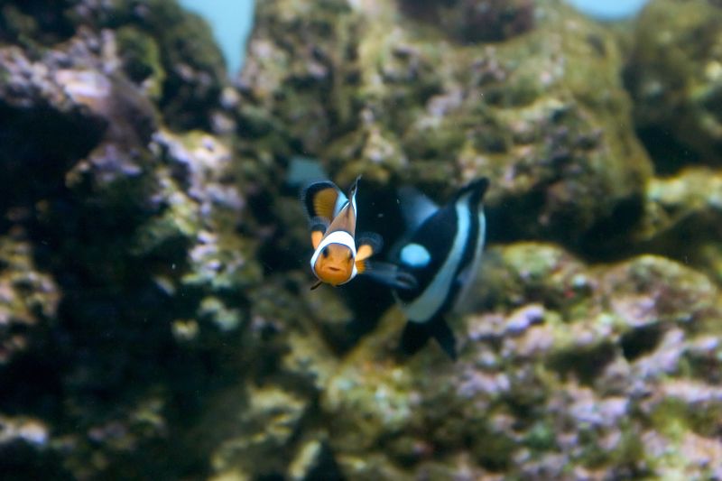 CRW_0451.jpg