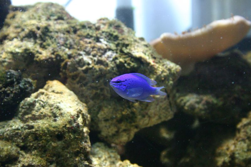 CRW_0461.JPG