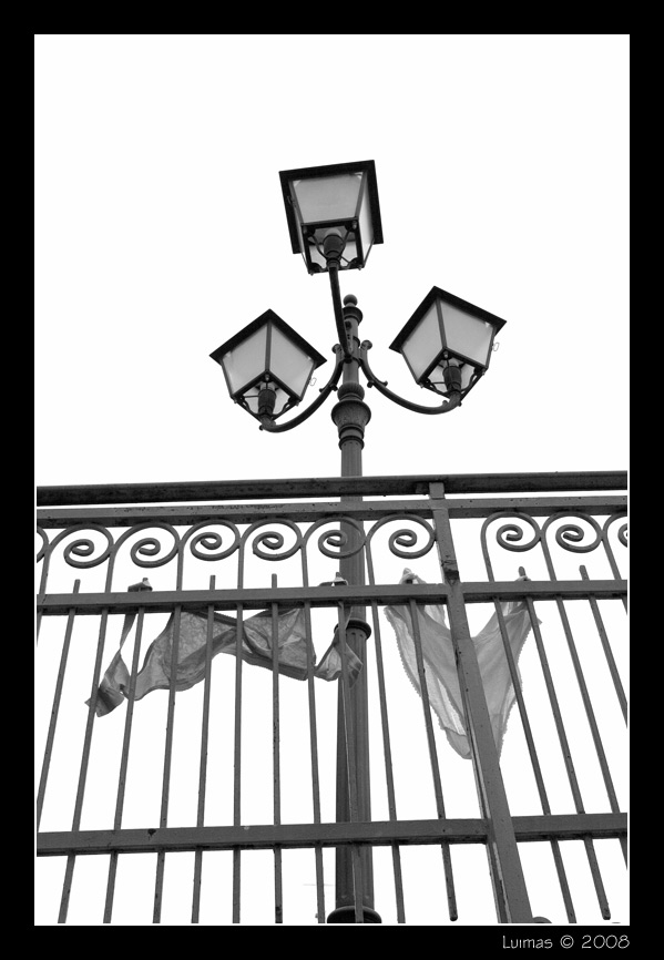 CRW_0617-copia-2.jpg