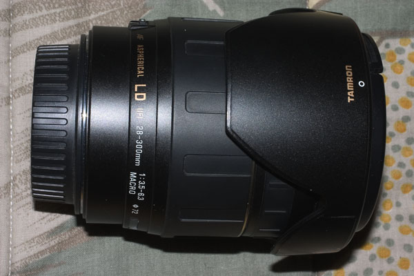 CRW_0698.jpg