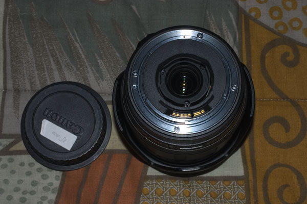 CRW_0699.jpg