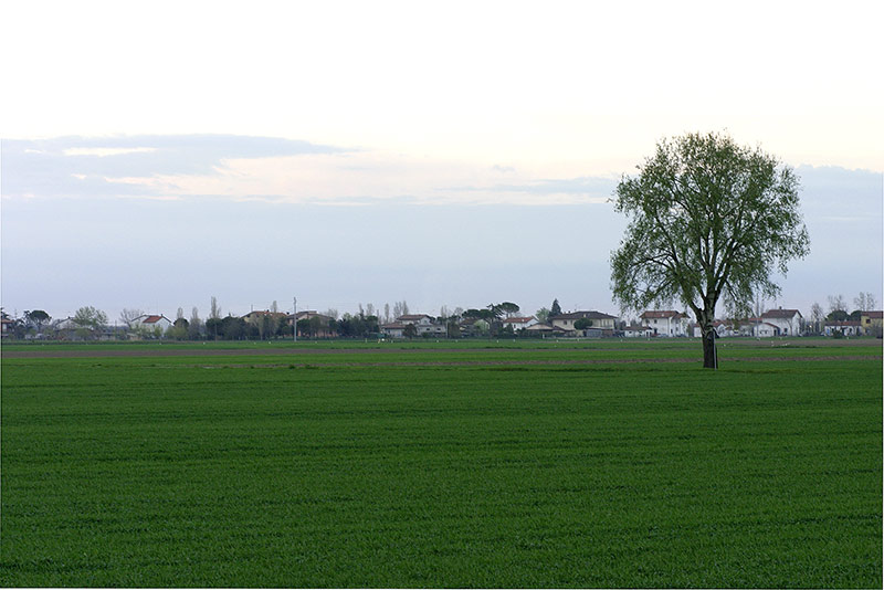 CRW_1469_RT8.jpg