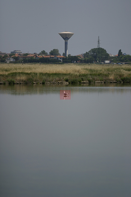 CRW_2112_RJ.jpg