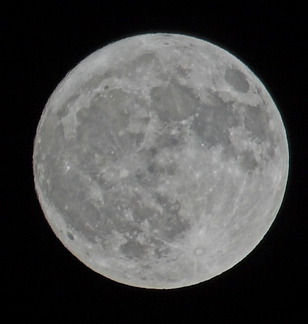 CRW_2344.jpg