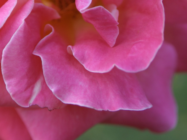CRW_2826_RT16.jpg