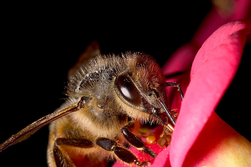 CRW_3335.jpg