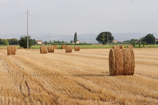 CRW_3630.jpg