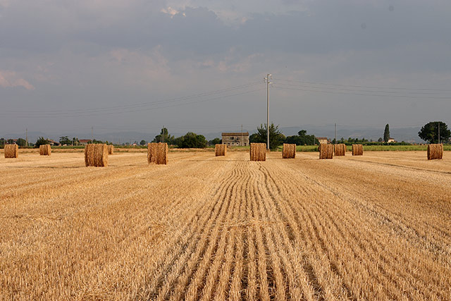 CRW_3687.jpg