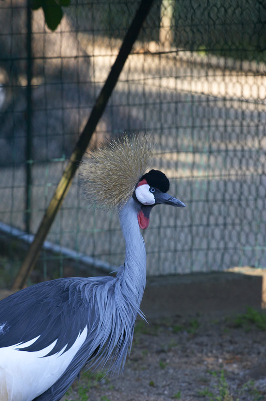 CRW_3738.jpg