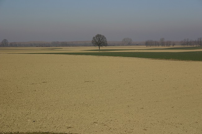 CRW_4146_RJ_ori.jpg