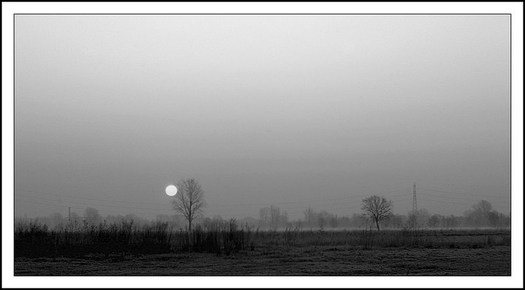 CRW_4208_RT8Rid.jpg