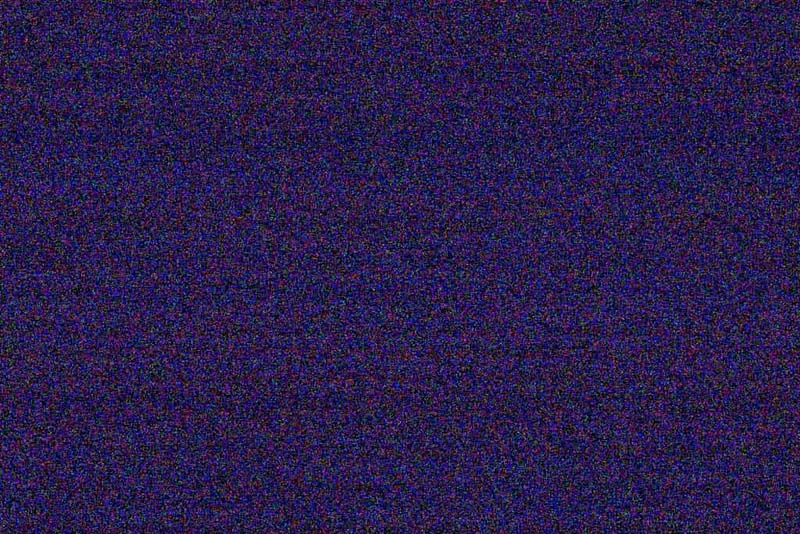 CRW_4490.jpg