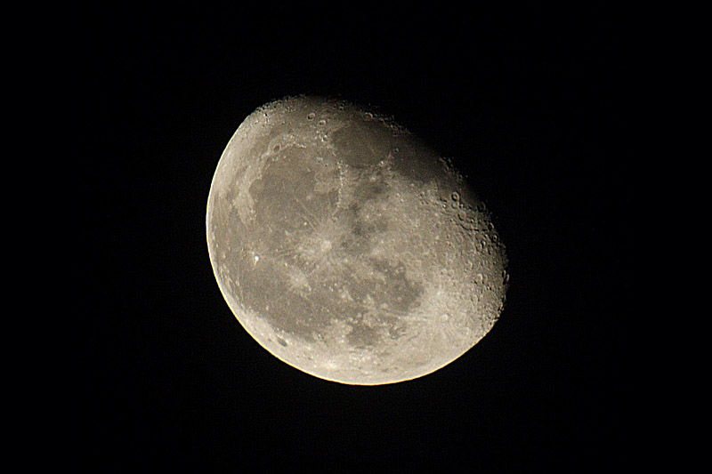 CRW_4570_up.jpg