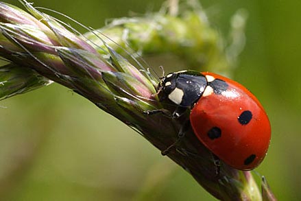 crw_5040_p4u_182.jpg
